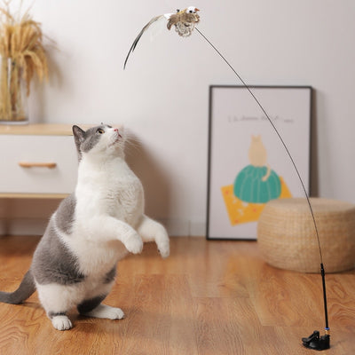 Suction Cup Fishing Rod and Bird Interactive Cat Toy