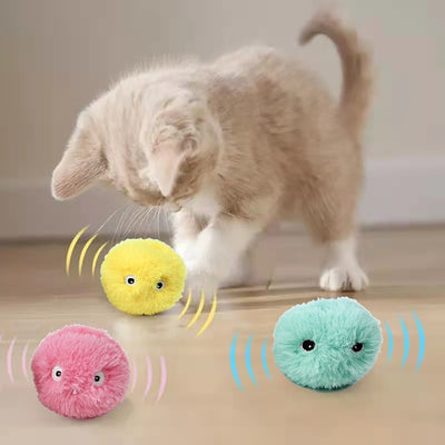 Cats Interactive Ball