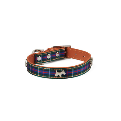 Highland Blue Tartan Dog Collar Small