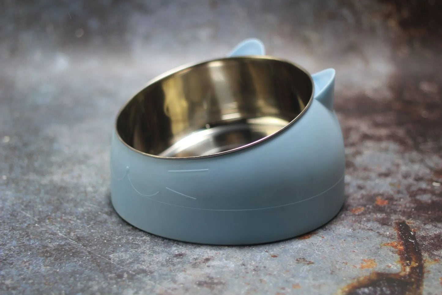 Cat Dog Bowl 15 Degrees Raised Stainless Steel Non Slip Tilt Safeguard