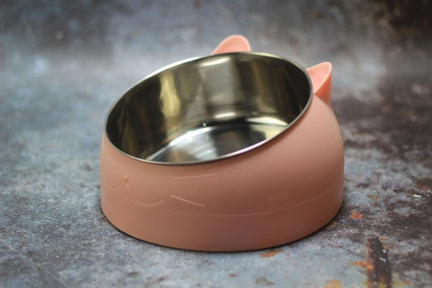 Cat Dog Bowl 15 Degrees Raised Stainless Steel Non Slip Tilt Safeguard