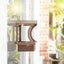 Stainless Steel Window Bird Feeder with Suction Cups, Transparent Weather-Resistant Feeding Station for Watching Small Wild Birds