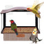 Stainless Steel Window Bird Feeder with Suction Cups, Transparent Weather-Resistant Feeding Station for Watching Small Wild Birds