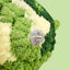 Bird Nest, Conure Breeding House Lovebird Bed for Conure, Lovebird, Canary, Finch, Coneshape Birds, Hamster, Small Pets C