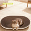 CatRoundPaw-ShapedLitterBox-Diameter:50cm(ThinStyle)