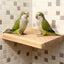 3 Pcs Bird Perch Platform Wooden Stand for Parrots Parakeets Budgies Cockatiels Bird Cage Accessories, Rectangular