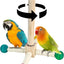 Bird Perch Toys, Interactive Wooden Rotating Stand with Smooth Spinning Design, Bird Cage Accessories for Parrots, Parakeets, Budgies, Lovebirds