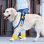 Dog Elbow Protector for Calles, Adjtable Dog Elbow Pads Leg Sleeve to Prevent Licking Biting on Joints, Breathable Dog Front Leg Brace Wound Cover for Small Medium Large Dogs