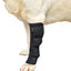 1Pc Canine Dog Hock Joint Support Brace, Adjustable Pet Dog Leg Braces Compression Wrap for Recovery Dog Braces Protect Legs Wounds Injuries for Pain Relief