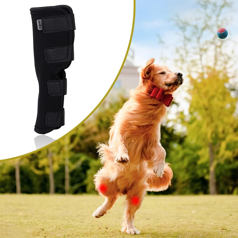 1Pc Canine Dog Hock Joint Support Brace, Adjustable Pet Dog Leg Braces Compression Wrap for Recovery Dog Braces Protect Legs Wounds Injuries for Pain Relief