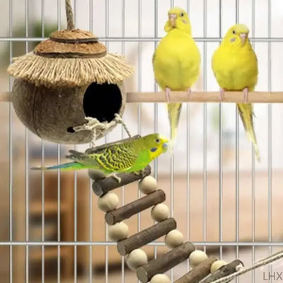 Hanging Coconut Shell Bird Nest With Ladder Cage Landscape Warm Bird House