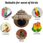 Hanging Coconut Shell Bird Nest With Ladder Cage Landscape Warm Bird House