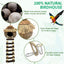 Hanging Coconut Shell Bird Nest With Ladder Cage Landscape Warm Bird House
