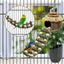 Hanging Coconut Shell Bird Nest With Ladder Cage Landscape Warm Bird House