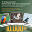 Smart Bird Feeder with 2K-4K Ultra HD AI Bird Recognition, Solar-Powered Outdoor Camera Feeder for Garden, Balcony, or Tree Mounting, Ideal for Bird Watching Enthusiasts and Backyard Wildlife Lovers (1080P, Khaki)
