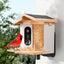 Smart Bird Feeder with 2K-4K Ultra HD AI Bird Recognition, Solar-Powered Outdoor Camera Feeder for Garden, Balcony, or Tree Mounting, Ideal for Bird Watching Enthusiasts and Backyard Wildlife Lovers (2.5K, Apricot)