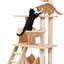 CARLA HOME 141cm Cat Tree Tower for Indoor Cats with Plush Perch, Ladder, Sisal Scratching Posts, Hammock & Condo for Kittens & Adult Cats (Beige)
