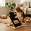 CARLA HOME Dog Nail Scratch Board with Snack Box, Height Adjustable Puppy Nail Pet