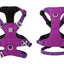 Whinhyepet Harness Purple 2XS