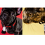 Mitey Tick Off For Pets Electronic Tick Repeller