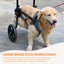 Rooster Farms Large Dog Wheelchair XL Harness - Adjustable Back Leg Aid