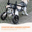 Rooster Farms Large Dog Wheelchair XL Harness - Adjustable Back Leg Aid