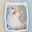 YES4PETS Large Deep Cat Kitty Litter Tray High Wall Pet Toilet Tray With Scoop Blue