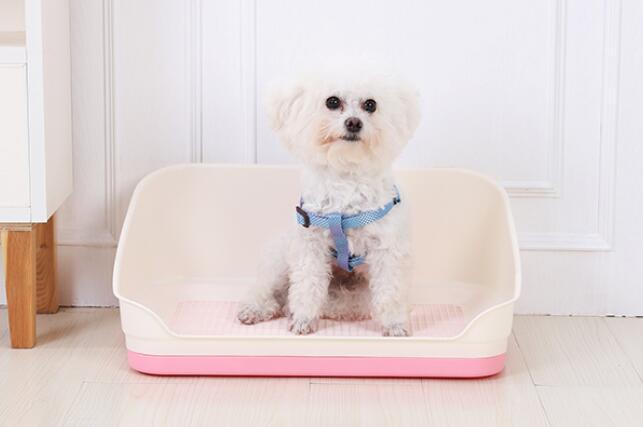 YES4PETS Medium Portable Dog Potty Training Tray Pet Puppy Toilet Trays Loo Pad Mat With Wall Pink