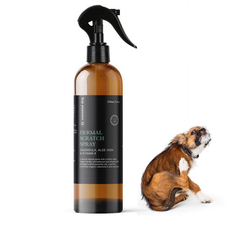 Natural Anti Itch Scratch Spray for Dogs (Aloe, Tea Tree and Vitamin E)