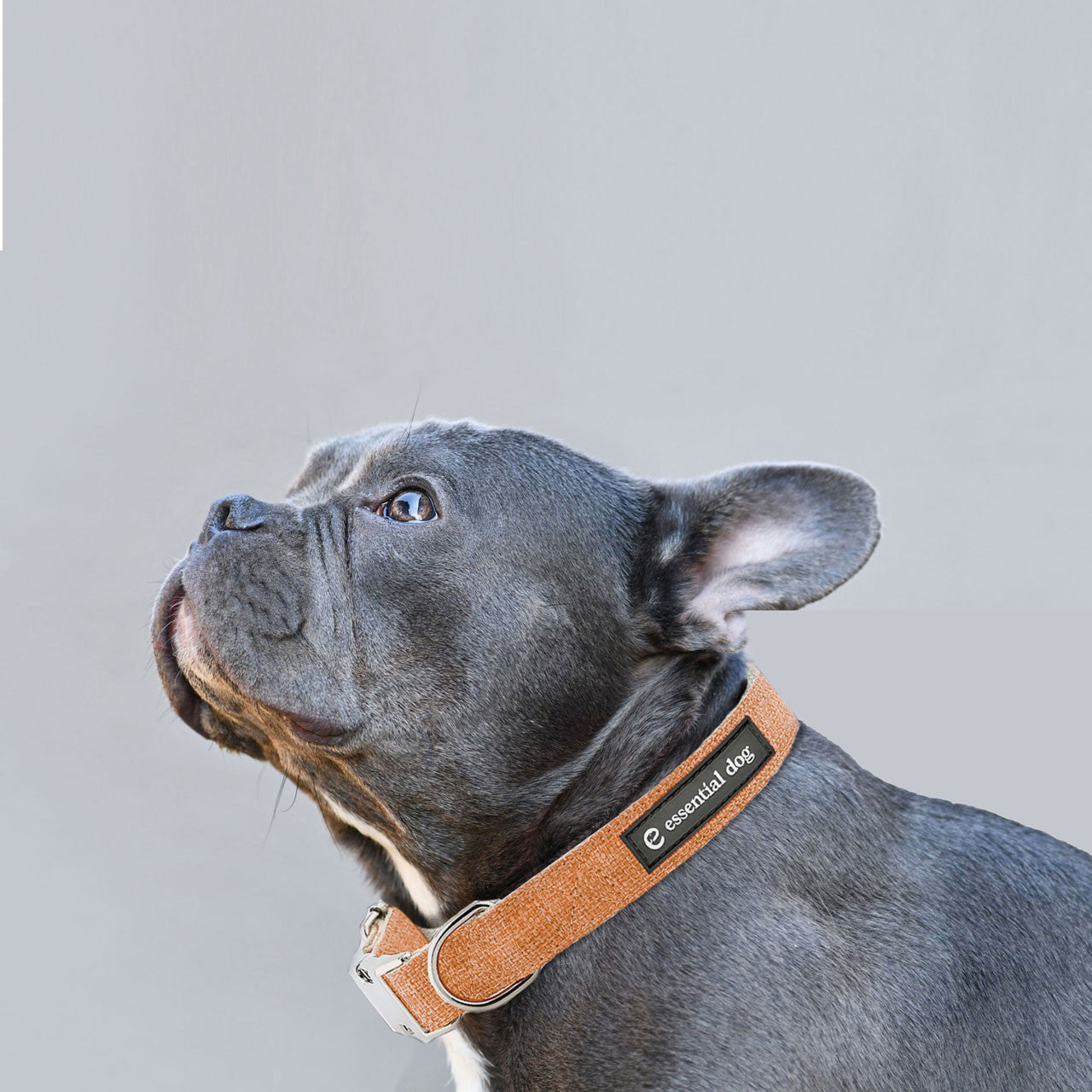 Natural Hemp & Cotton Dog Collar (Orange Burst)