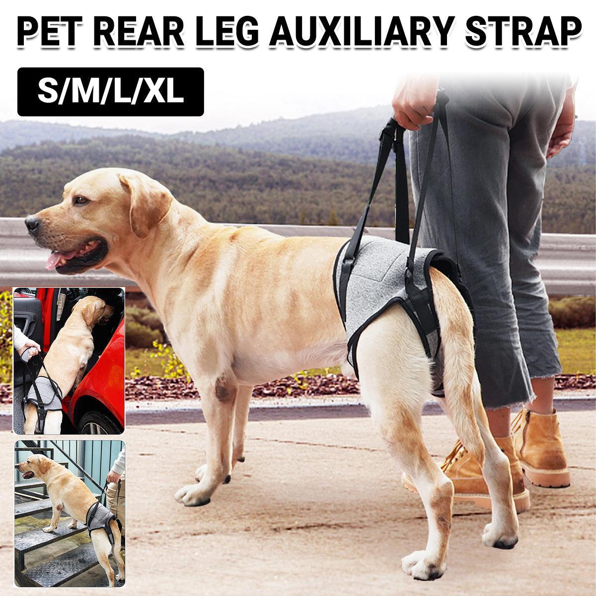 Decompression Back Leg Strap for Injured and Older Dogs Support Harness Aid - L