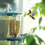 Clear Plastic Automatic Bird Feeder Suspended Suction Cup Feeder with Cover