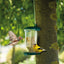 Clear Plastic Automatic Bird Feeder Suspended Suction Cup Feeder with Cover
