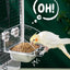 Parrot Stainless Steel Food Bowl Bird Feeder Cage Hanging Dish for Pet Birds - M
