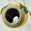 Bird Nest Parrot Nest Coconut Shell Braided Twine Colourful Cage Hanging Bed - White-Green-Screw Model