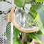 Parrot Rest Bird Nest Breathable for Small Parrots Comfortable Washable Durable - Swing Style