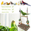 Parrot Hammock Swing Toy with Colourful Chain Double Swing Bird Cage Play