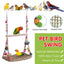 Parrot Hammock Swing Toy with Colourful Chain Double Swing Bird Cage Play