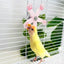 Spinning Windmill Bird Cage Toy 360 Degree Rotation Pecking Boredom Relief Play