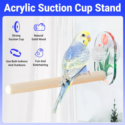 Parrot Acrylic Suction Cup Perch Pet Toy Non Slip for Small Medium Parrots