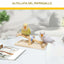 Interactive Bird Seesaw for Small Medium Birds Cage Toy Training Play Equipment