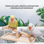 Interactive Bird Seesaw for Small Medium Birds Cage Toy Training Play Equipment