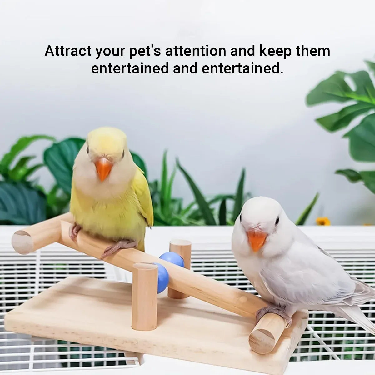 Interactive Bird Seesaw for Small Medium Birds Cage Toy Training Play Equipment