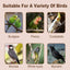 Large Parrot Birdcage with Stand for Birds Play Area Pet Habitat Flight Cage