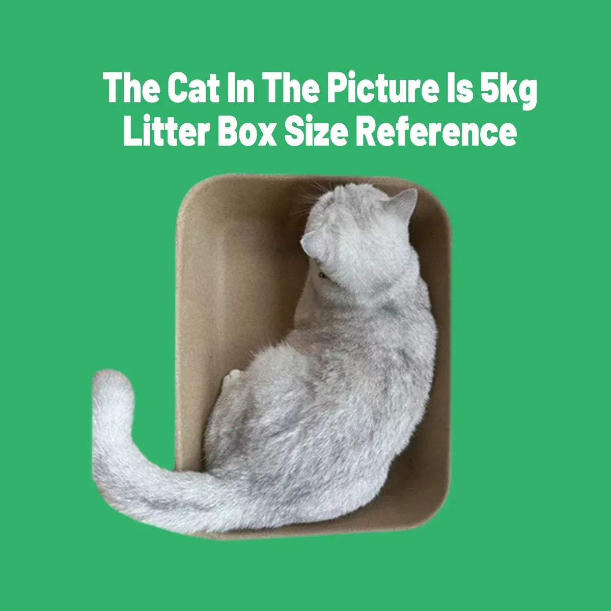 10pcs Disposable Litter Box Pulp Degradable Pet Tray Travel Portable Eco Use
