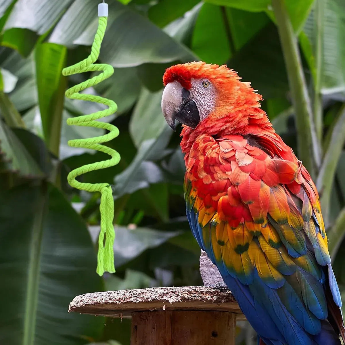 Bird Climbing Rope Toy Cotton Spiral Ladder Parrot Cage Hanging Swing Pet Toy - Blue