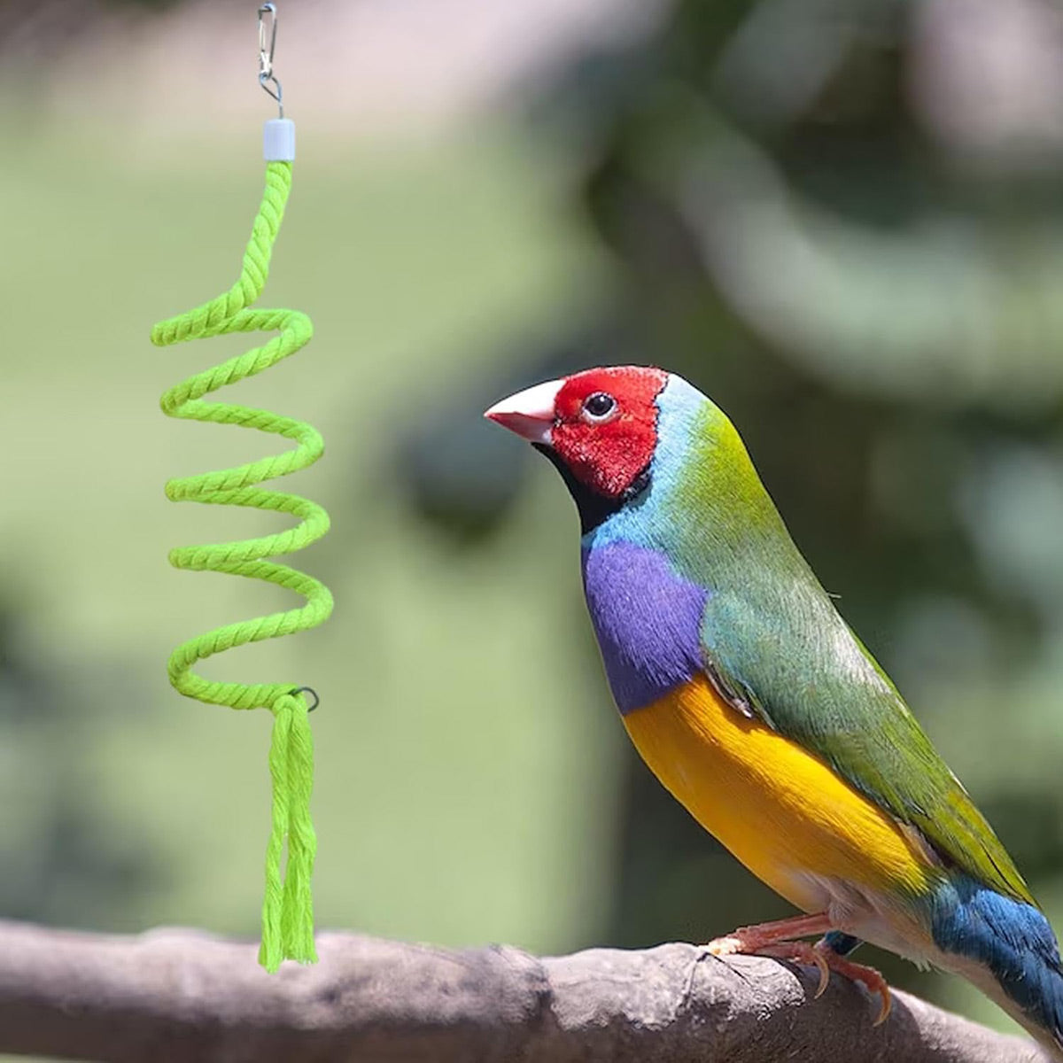 Bird Climbing Rope Toy Cotton Spiral Ladder Parrot Cage Hanging Swing Pet Toy - Gradient colour