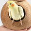 Lanyard Birdhouse Parrot Coconut Nest Bed Hanging Bird Cage for Small Birds - Stairs type