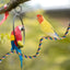 U Shaped Parrot Cotton Rope Climbing Toy Perch Stand for Bird Cage - 120cm