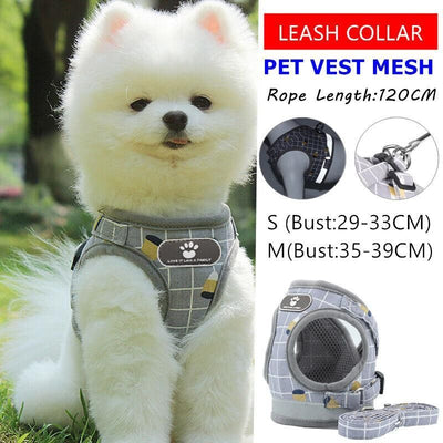 Grey Kitten Dog Cat Walking Harness Lead Leash Collar Pet Vest Mesh Adjustable - M
